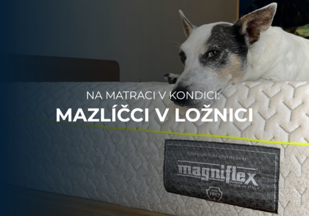 Na matraci v kondici: Je dobrý nápad, aby s námi mazlíčci spali v posteli? Na matraci v kondici: Je dobrý nápad, aby s námi mazlíčci spali v posteli?