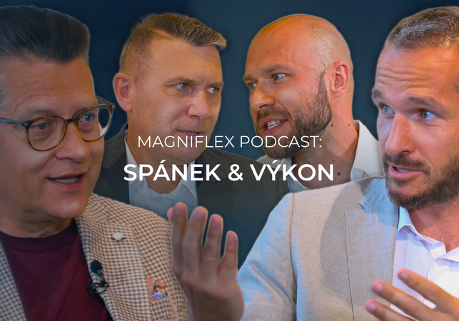 Vliv kvalitního spánku na fyzický a mentální výkon - Petr Nepraš, Milan Šádek a František Hlaváč